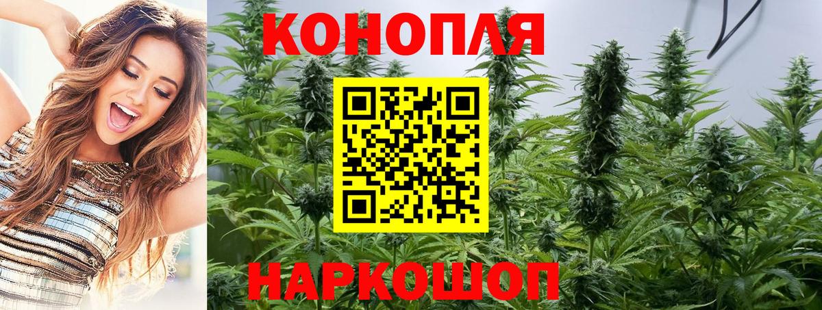 Канабис сатива  Вход с VPN  Кушва  Конопля семена  Бошки марихуана тримм  Бошки марихуана индика 